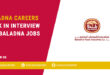 Baladna Careers