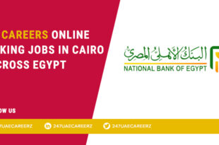 NBE Careers 2026 | Personal Banker & Retail Banking Jobs in Egypt