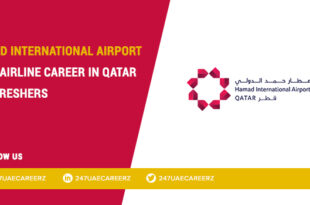 Hamad International Airport Jobs 2026 | Cargo Agent & Terminal Operations in Doha