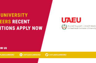 UAE University Careers 2026 | Admin & Faculty Jobs in Al Ain