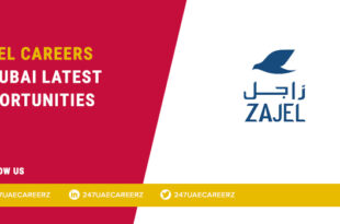 Zajel Careers