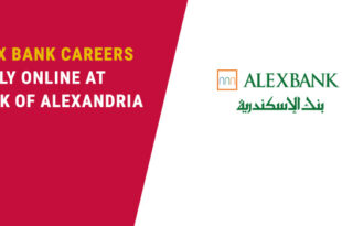 Alex-Bank-Careers-Jobs-Egypt